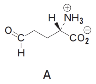 アミノ酸（C）の生合成過程の一部を示した図　第99回薬剤師国家試験問107